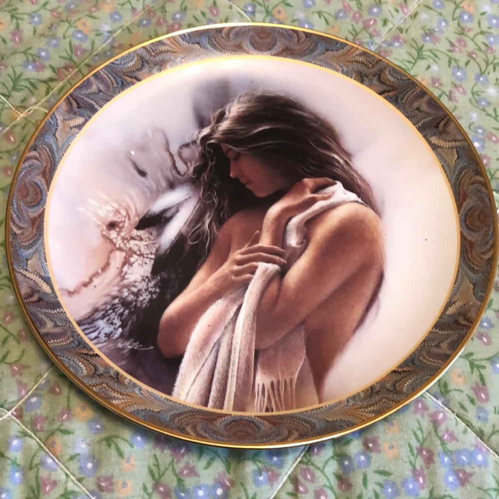 Collector plates - Picture 8 of 8
